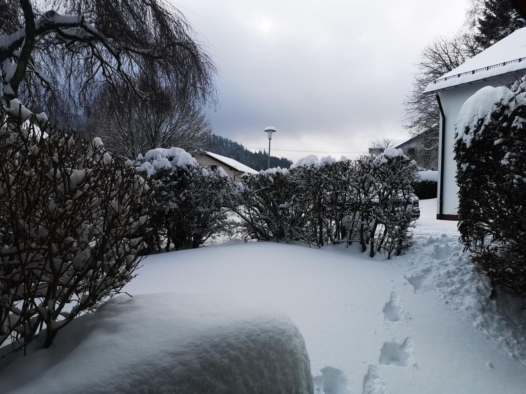 Fewo Kuhlmann Willingen  Dış mekan fotoğraf